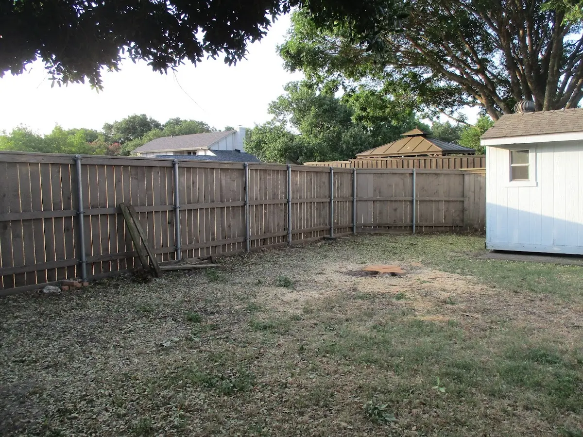 Cleared yard after professional tree removal in Wacissa